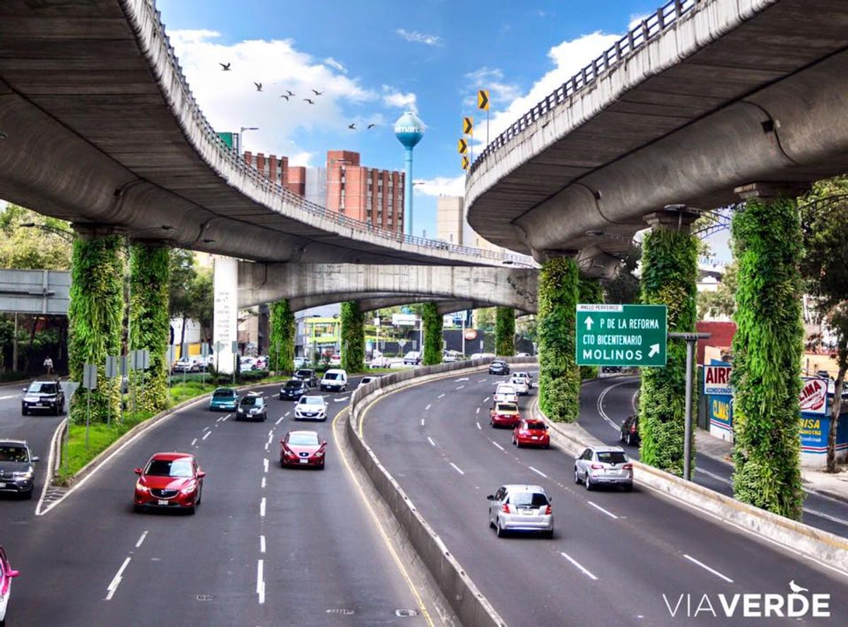 Mexico City Combating Air Pollution With Via Verde