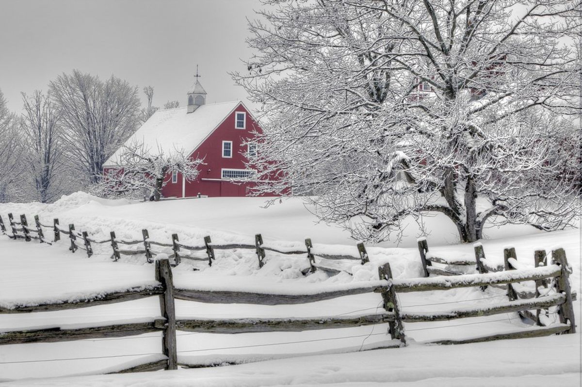 A 12 Step Guide On How To Winter In New England