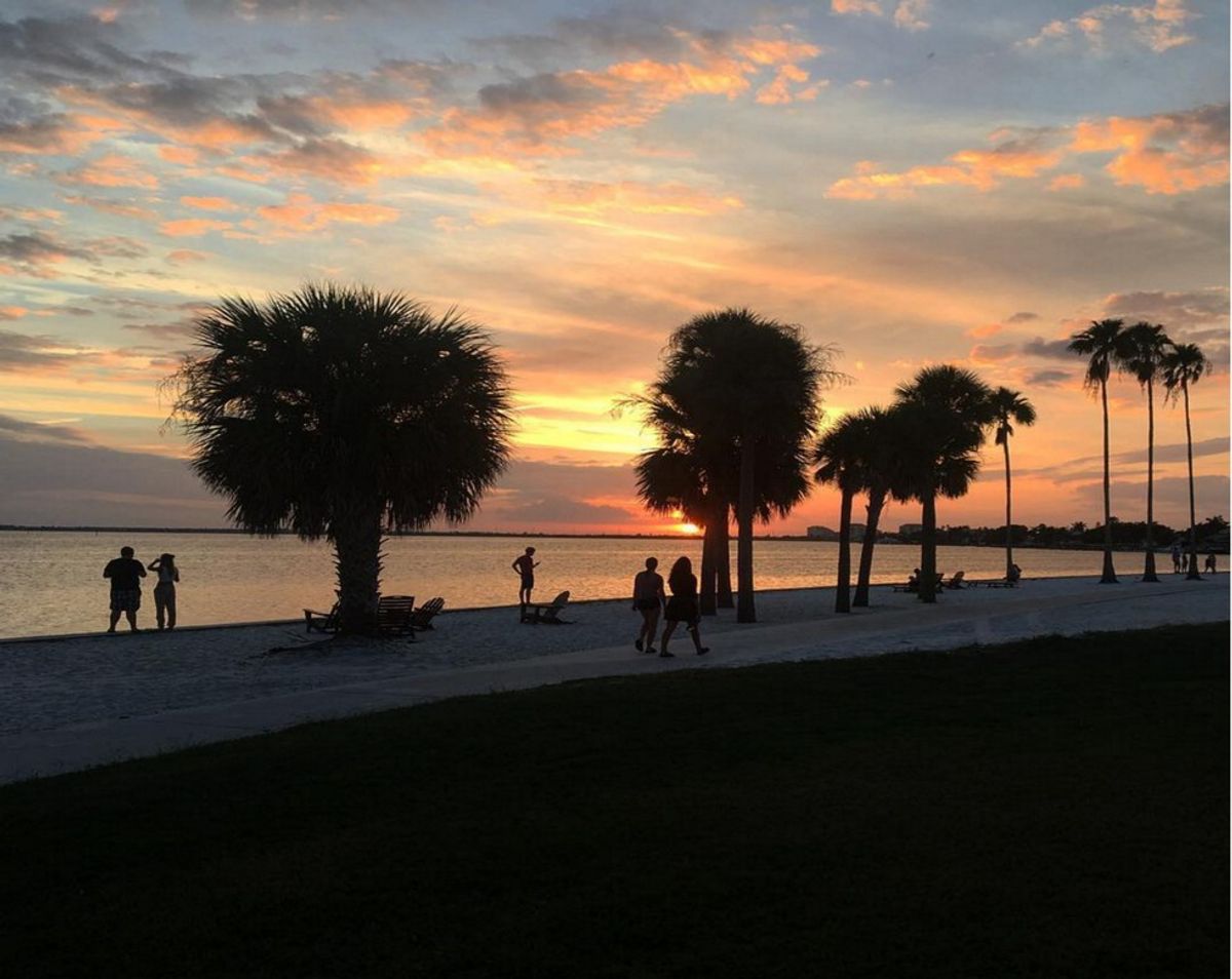 14 Things You Don't Know About Eckerd College But Need To Before Attending