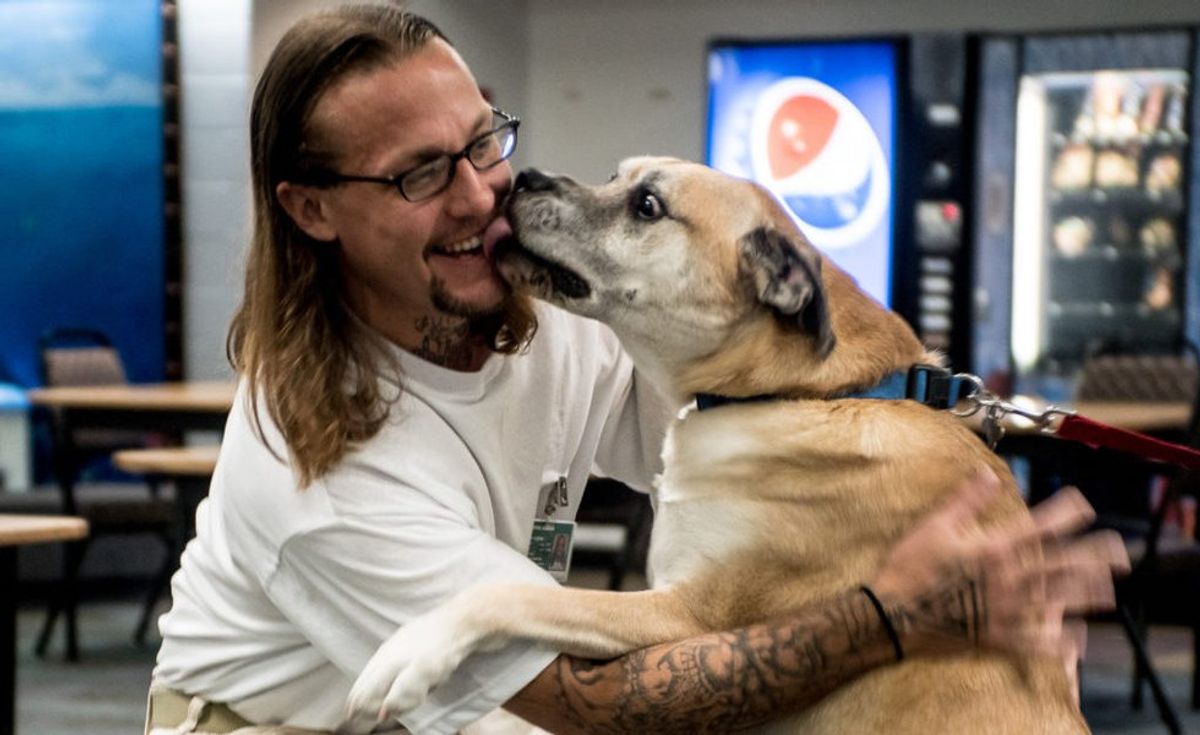 Inmates Train Rescue Dogs in Prison Partnership