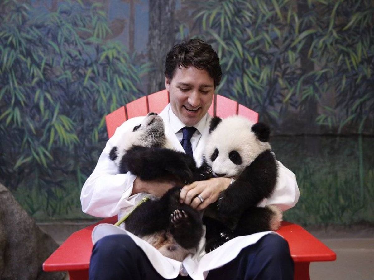5 Times You Had Justin Trudeau Fever