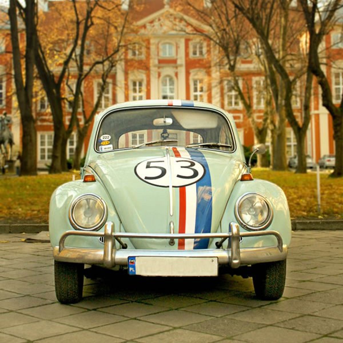 10 Truths About Volkswagen Beetle Owners And Their Cars