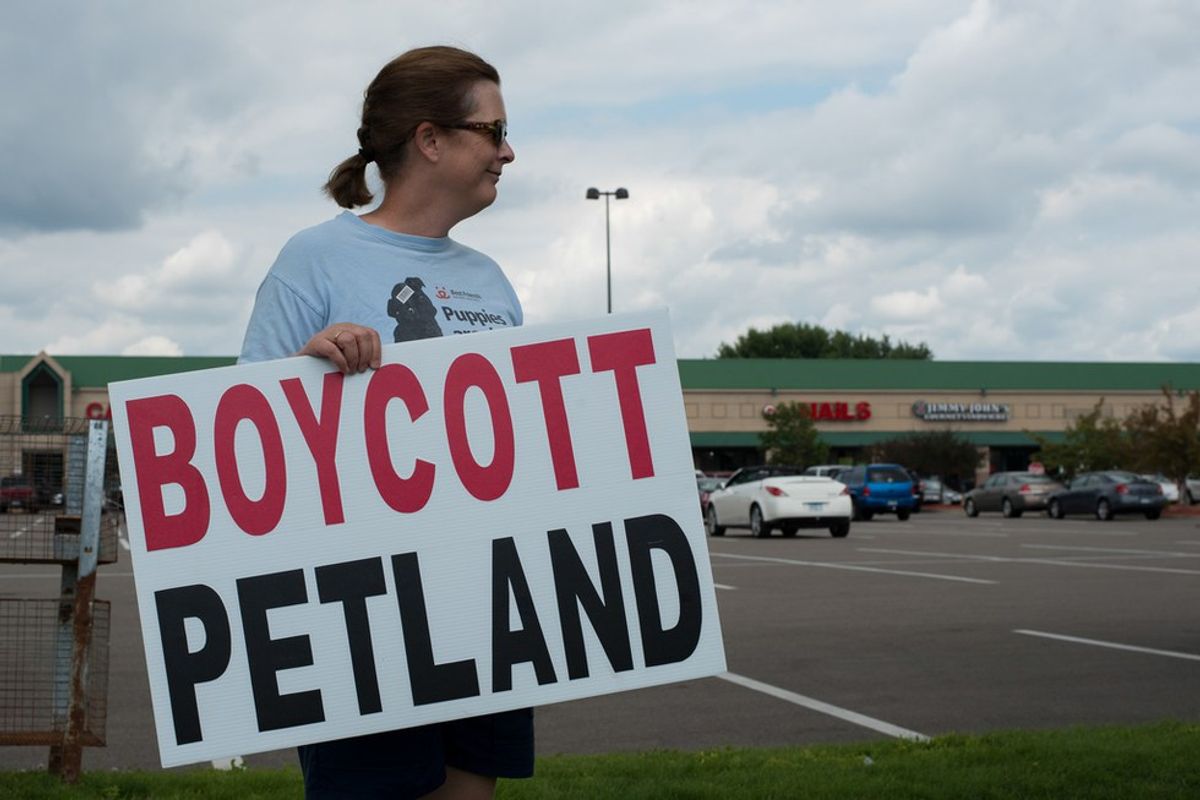 Petland Continues To Thrive On Puppy Mills