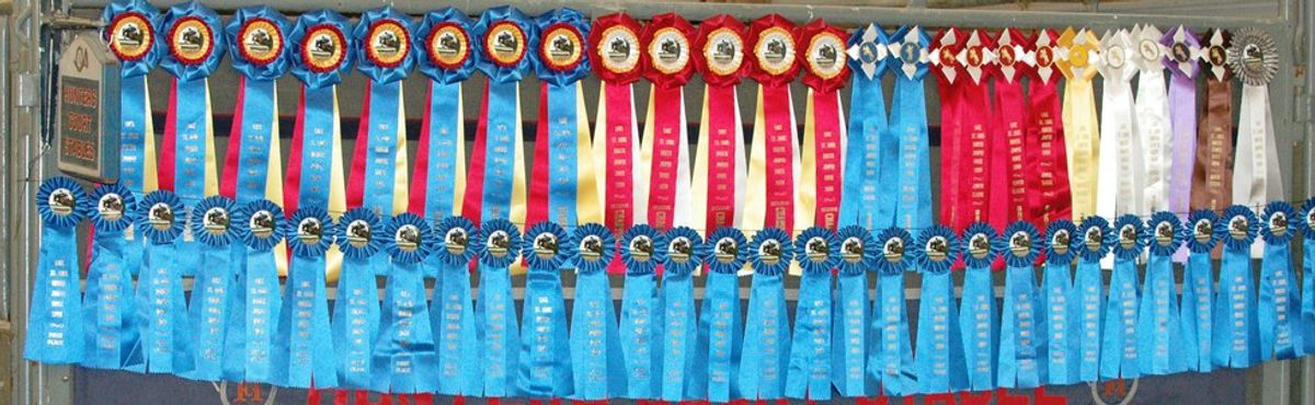 15 Common Horse Show Thoughts
