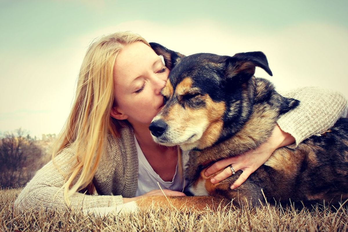 How Getting A Dog Will Change Your Life