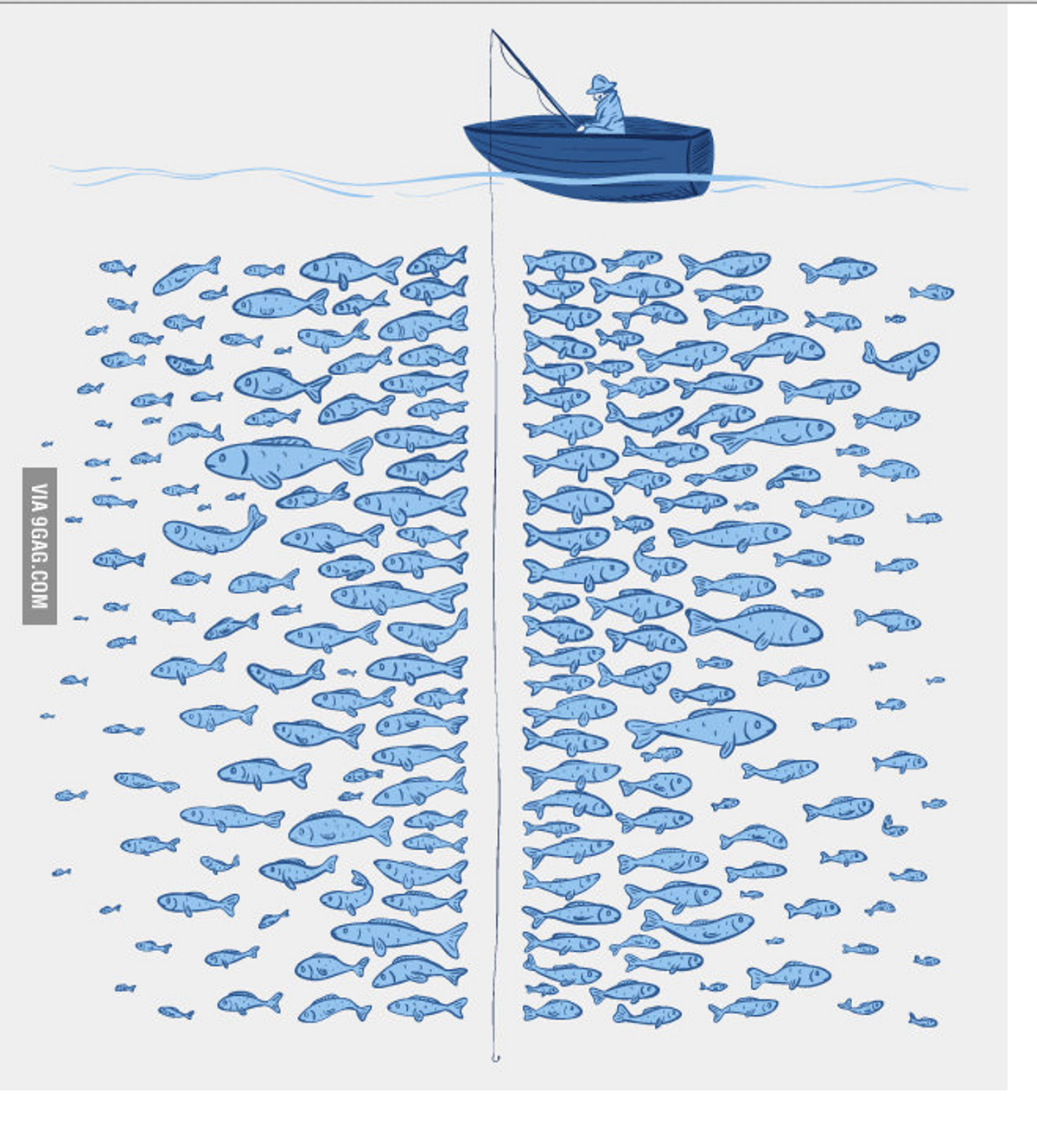 There's Plenty Of Fish In The Sea