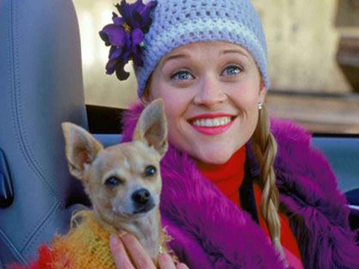 How To Have Confidence Like Elle Woods