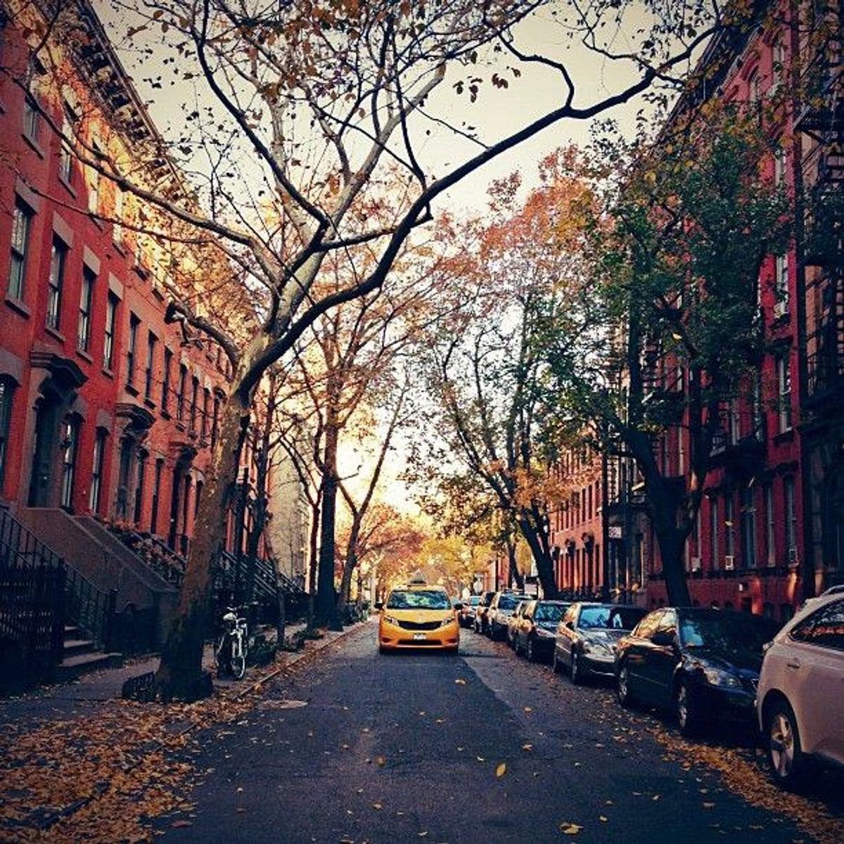 50 'Instagram Worthy' Places To Visit In NYC