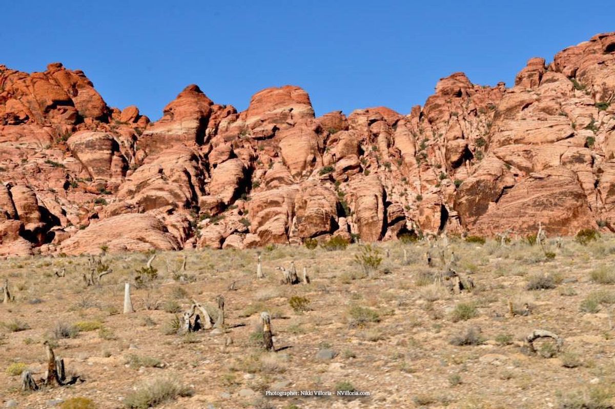 Proposed Development Near Red Rock Survives With County Commissioners' Vote
