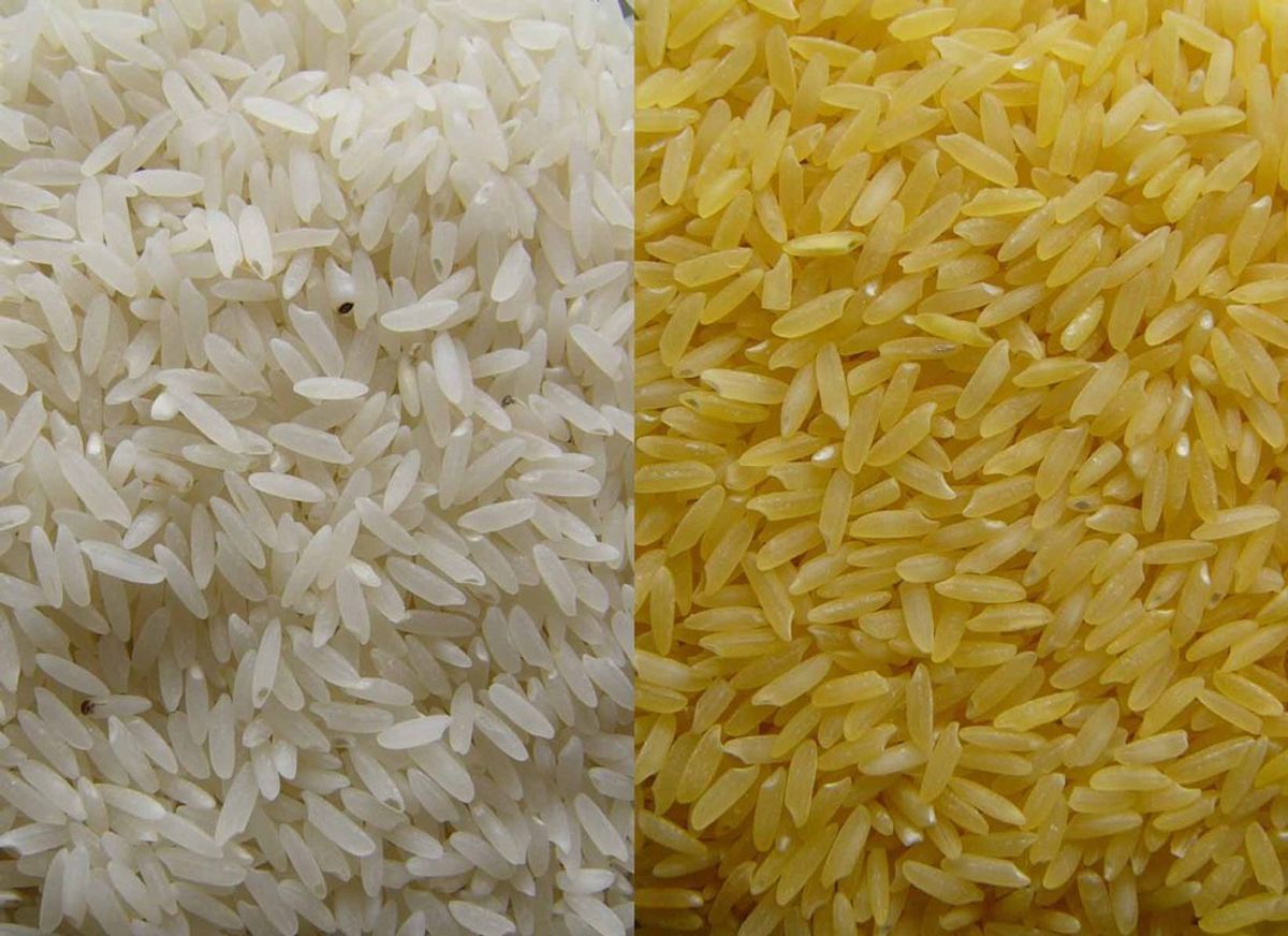 The Science Behind Golden Rice
