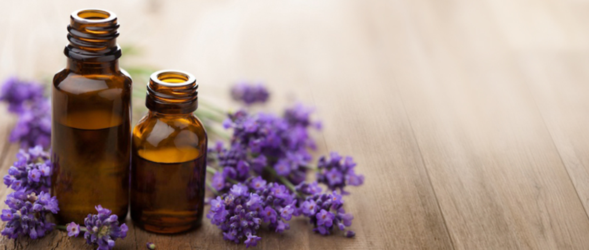 The Beginners Guide To Essential Oils