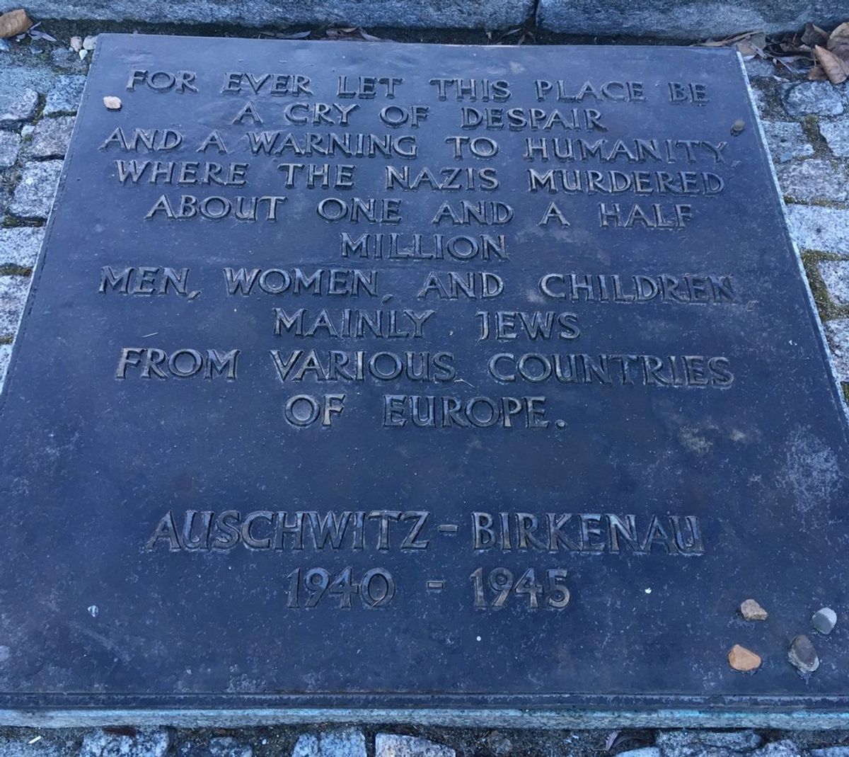 The Horrors Of Auschwitz-Birkenau