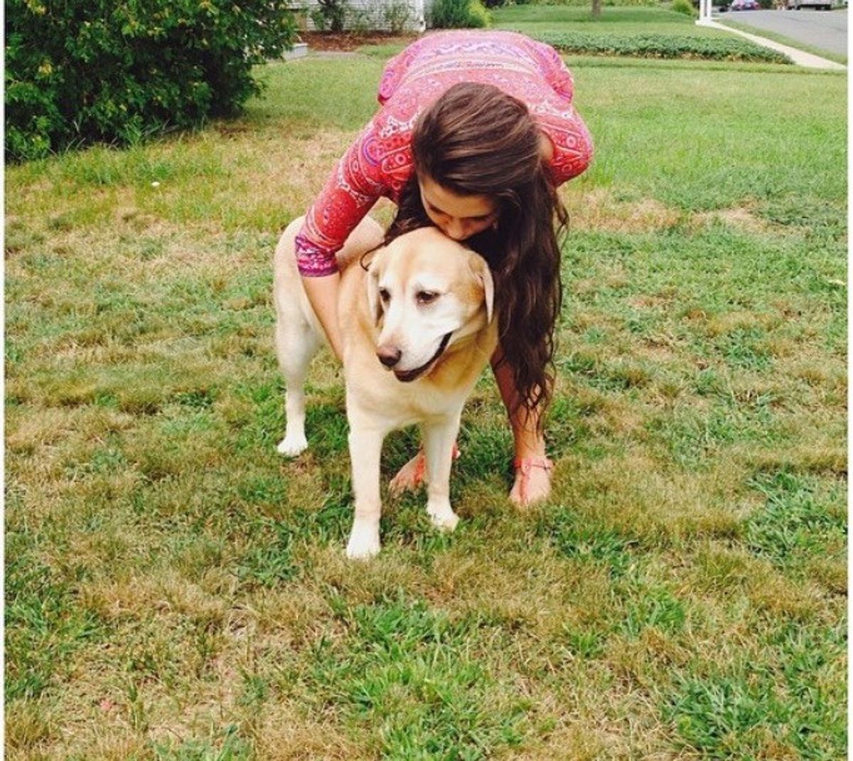 7 Perks Of Coming Home To Your Dog From College