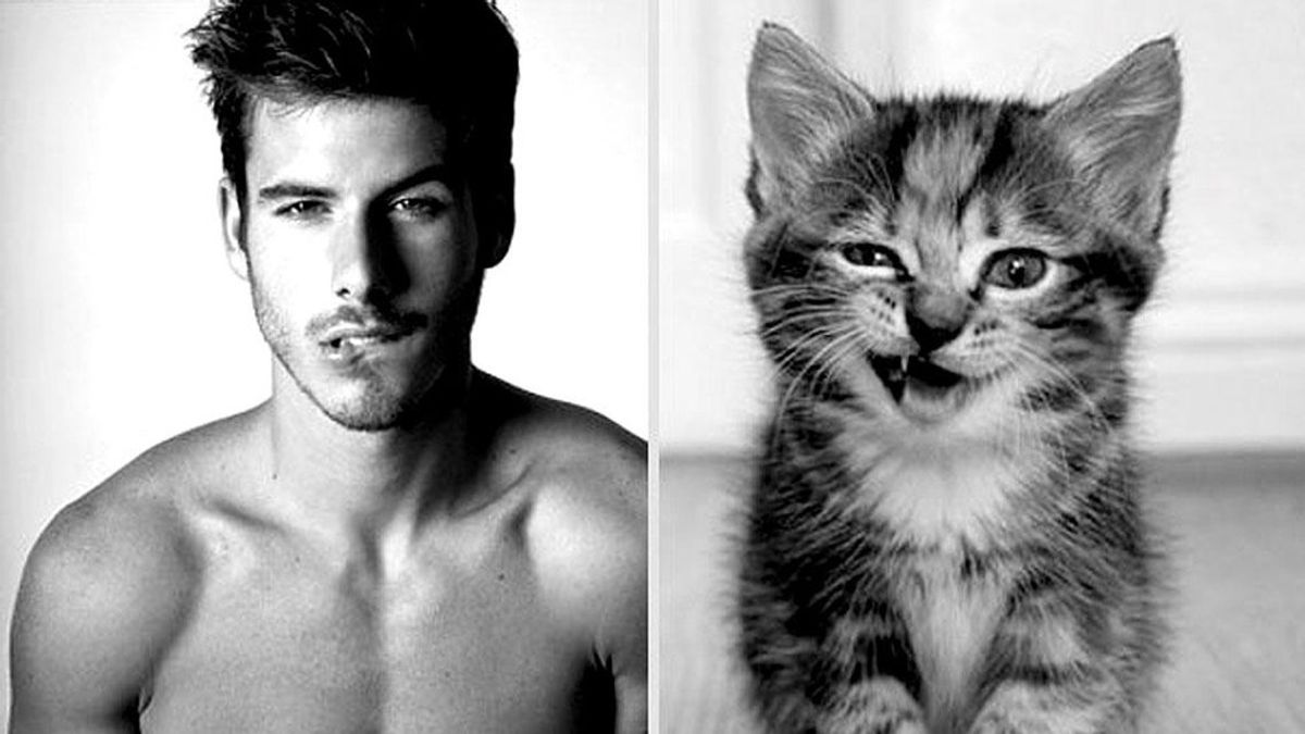 20 Photos Of Hot Men Who Look Like Cats To Get You Through Midterms