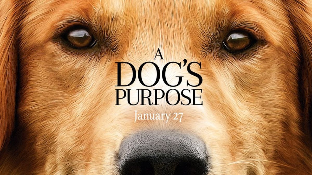 Movie Review: A Dog's Purpose