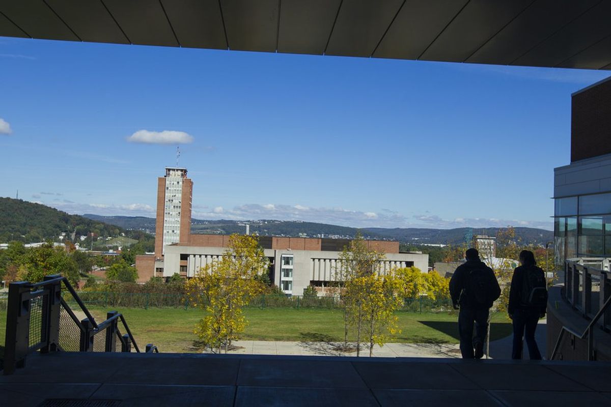 An Open Letter To The Binghamton University Library