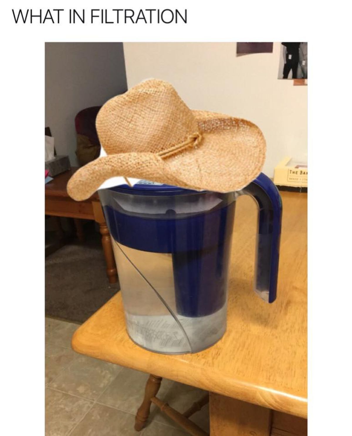 8 Of The Best "What In Tarnation" Memes