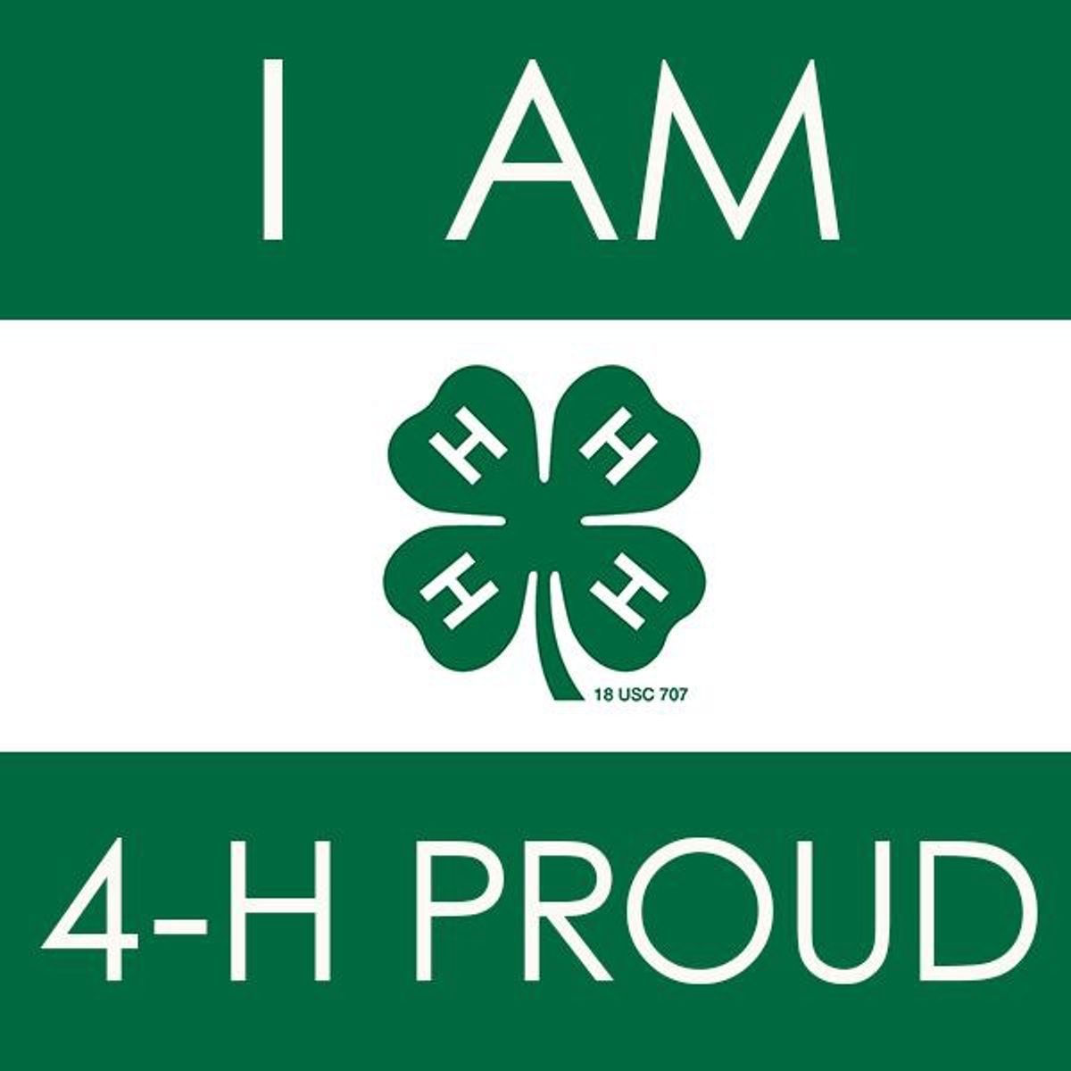 A Thank You to 4-H