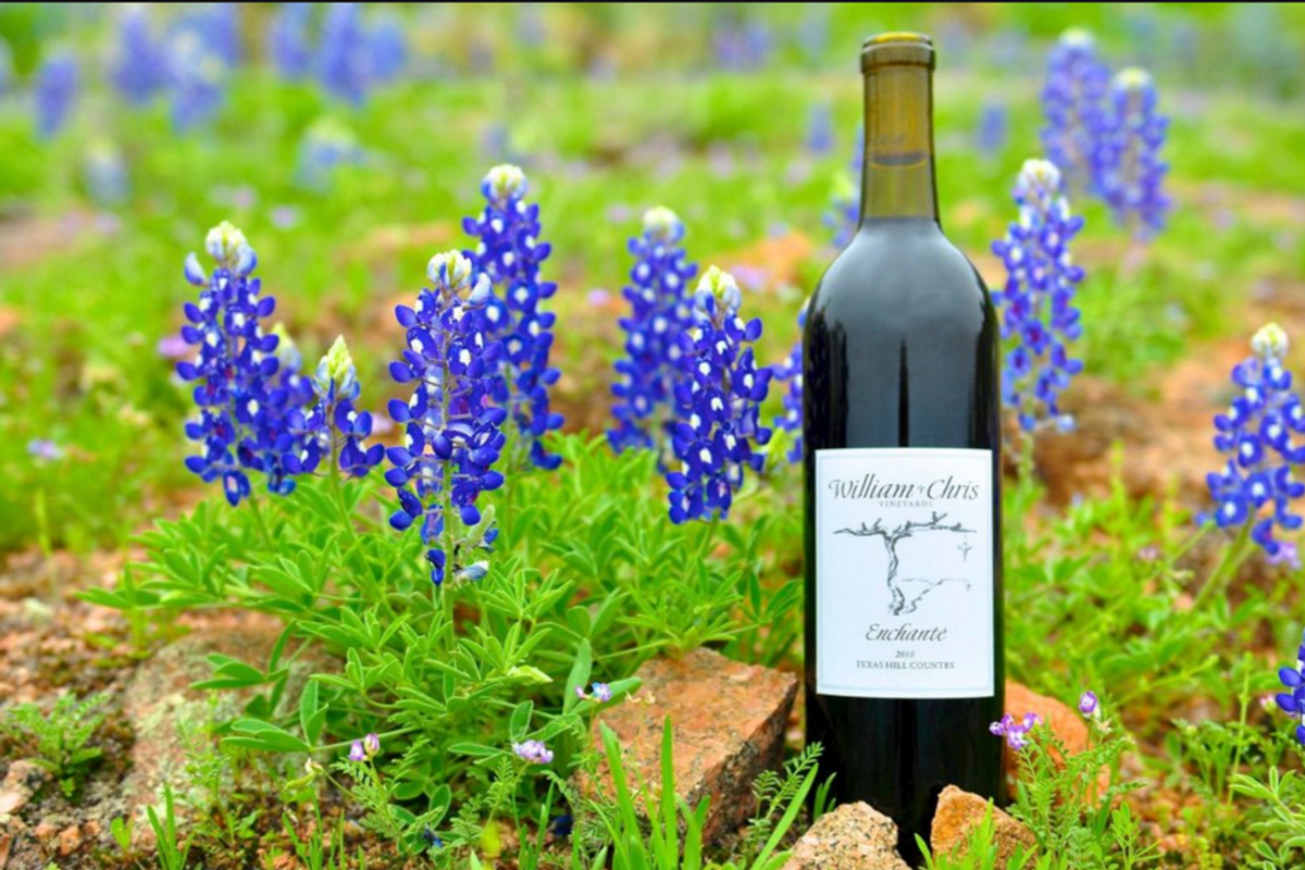 The Absolute Best Wineries In Fredericksburg, Texas To Get Your Sip On