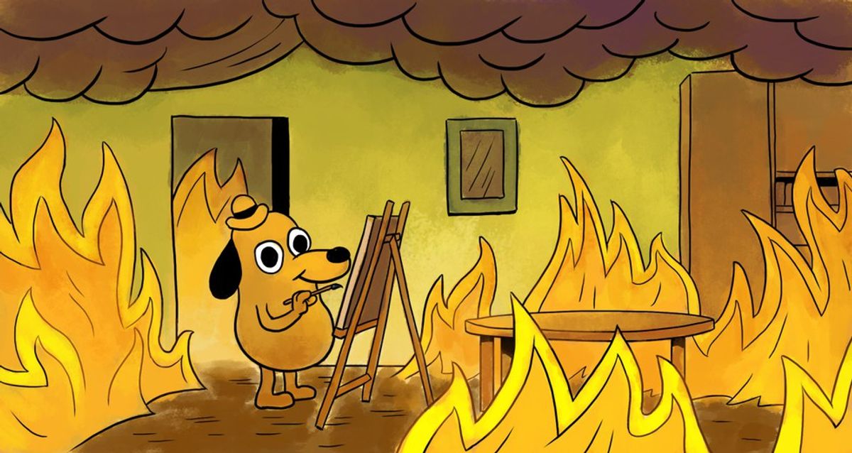 35 Times The 'This Is Fine' Dog Described College