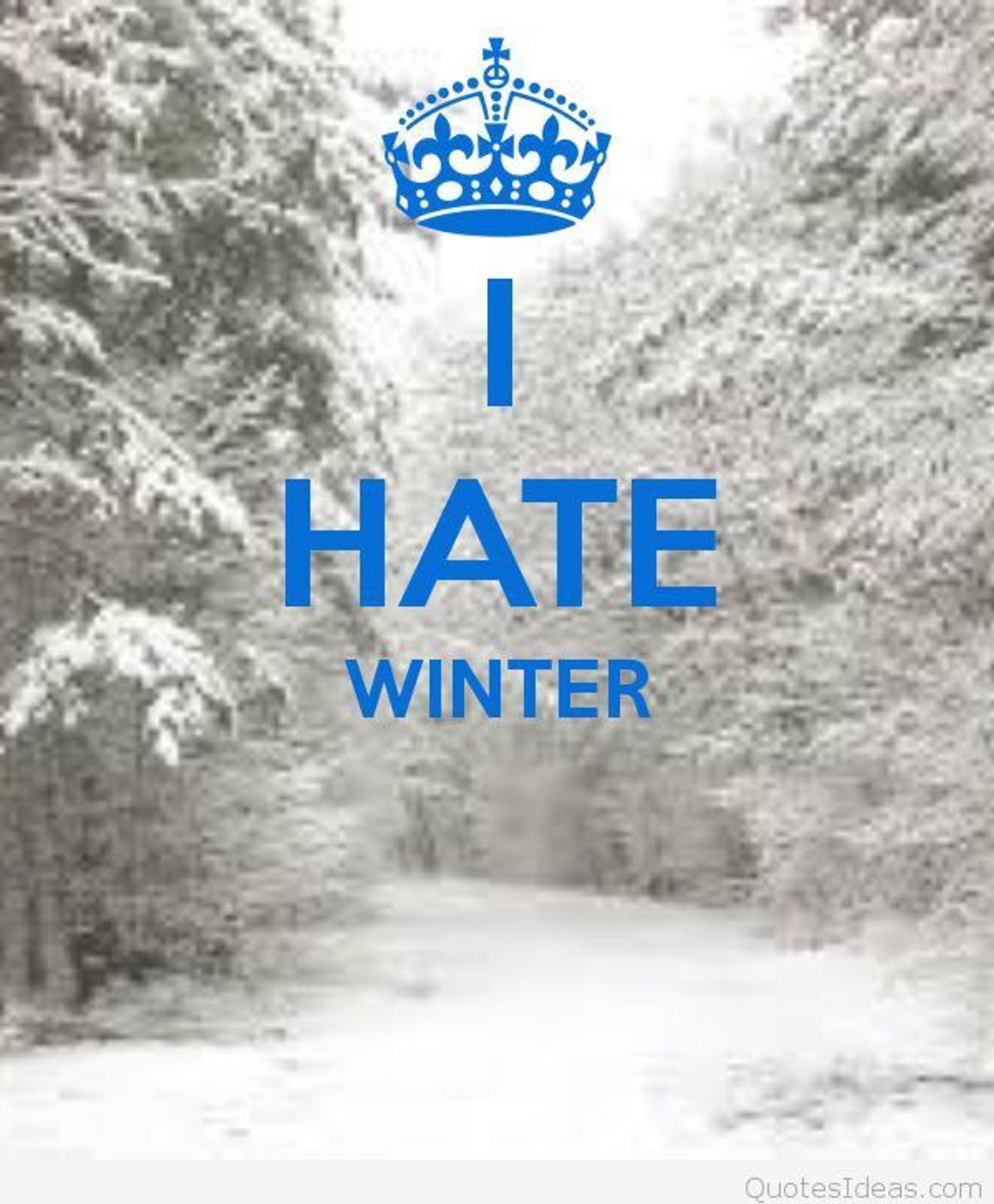 5 Things I Hate About Winter