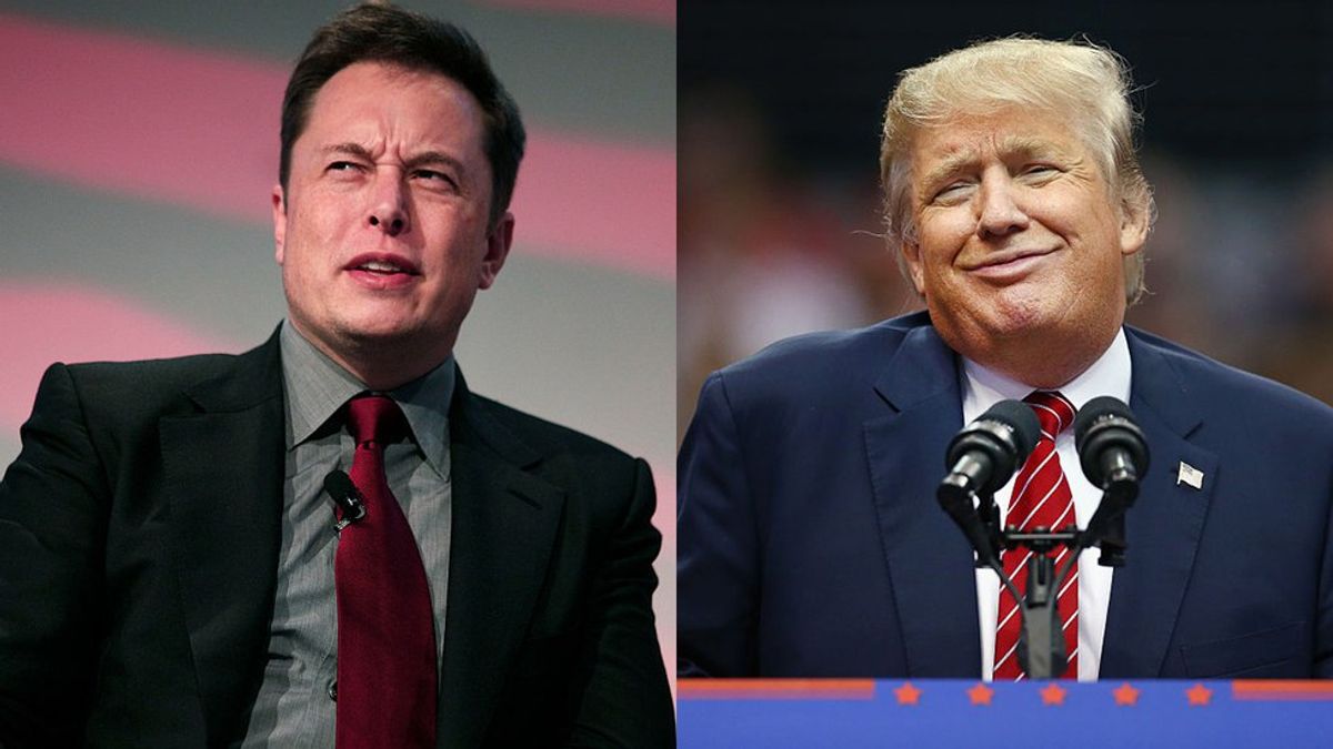​How Elon Musk Being Close To Trump Helps You And The Environment