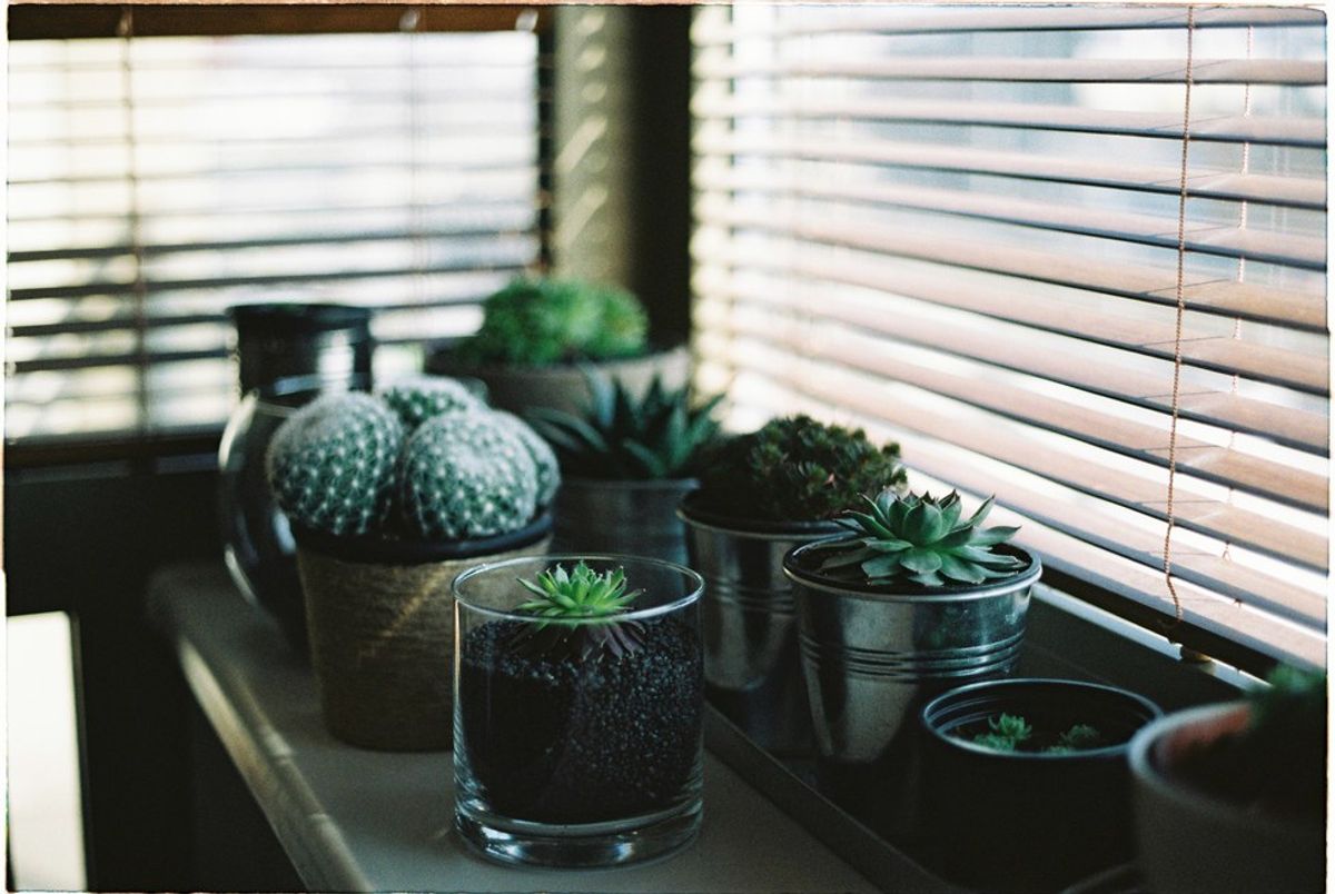 3 Rad DIY Planters You Can Do Today