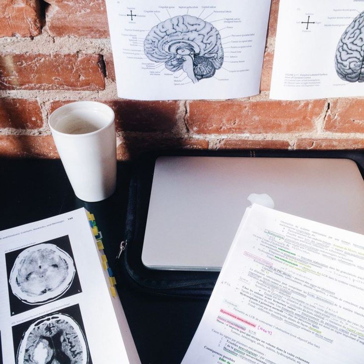 5 Things Only A Pre-Med Student Will Understand