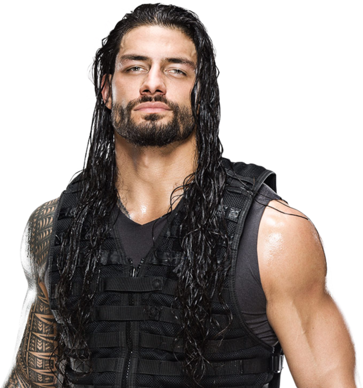What You Should Know About WWE Superstar, Roman Riegns