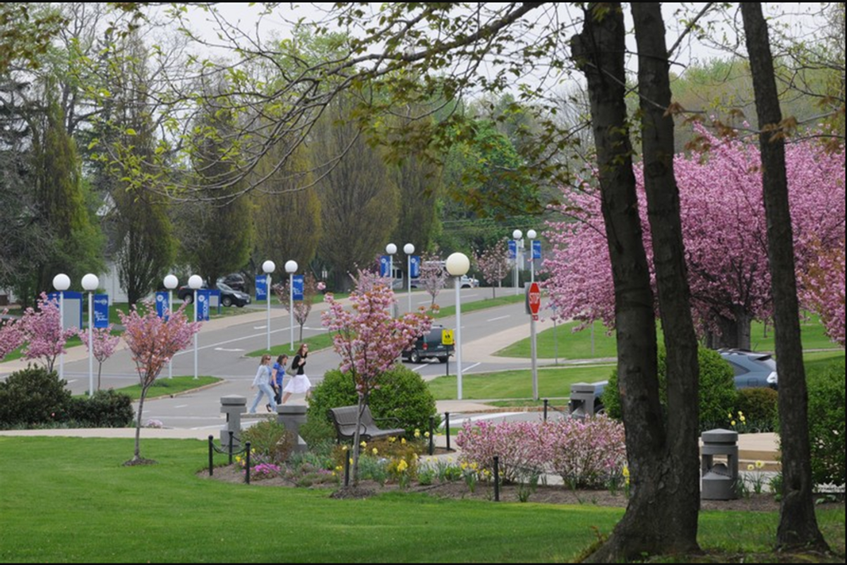 5 Reasons Why Attending SUNY Fredonia Changes Your Life