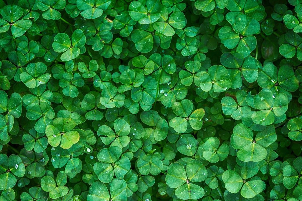 12 Ways To 'Actually' Get Lucky This St. Patrick's Day