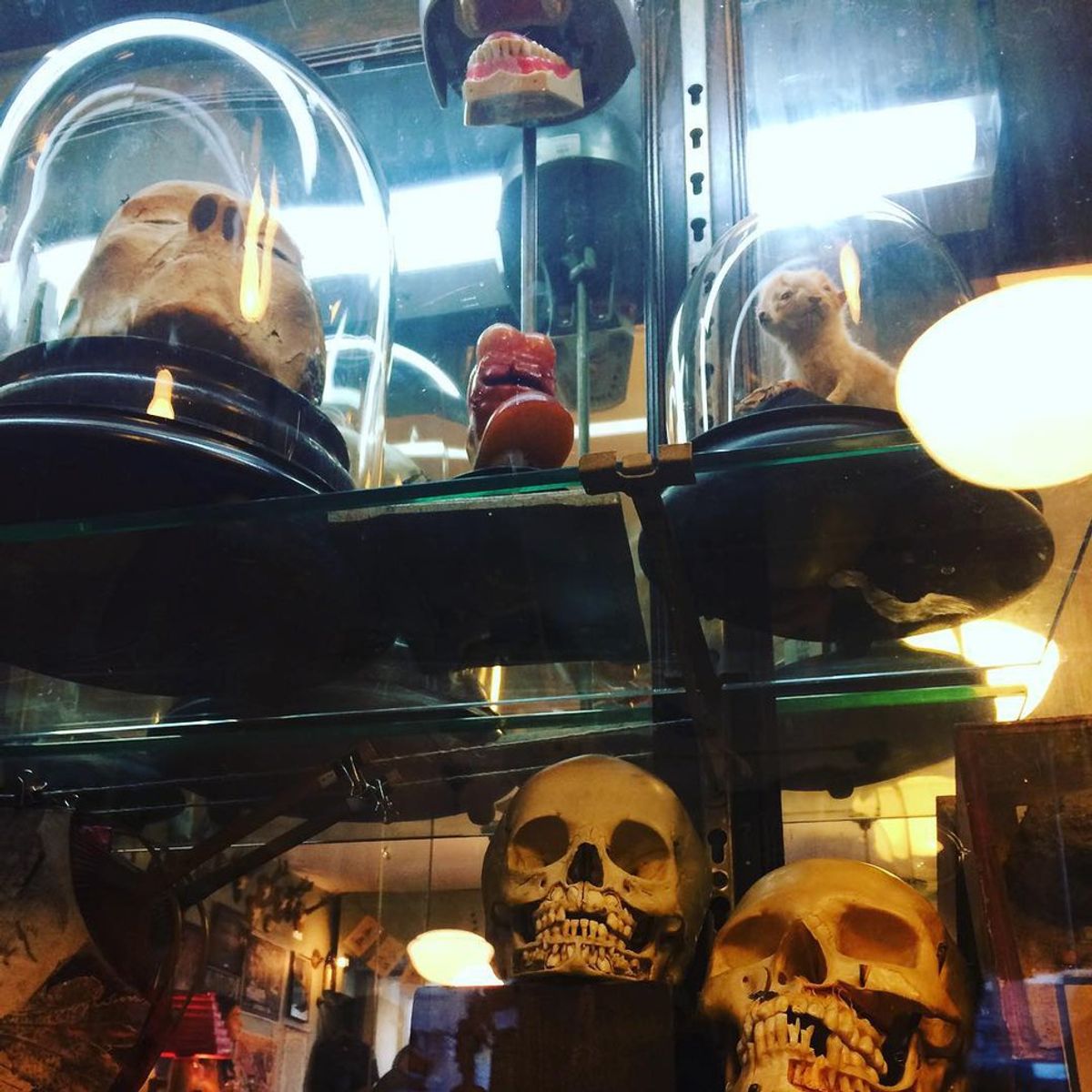 5 Weird Places You'll Only Find In New York City