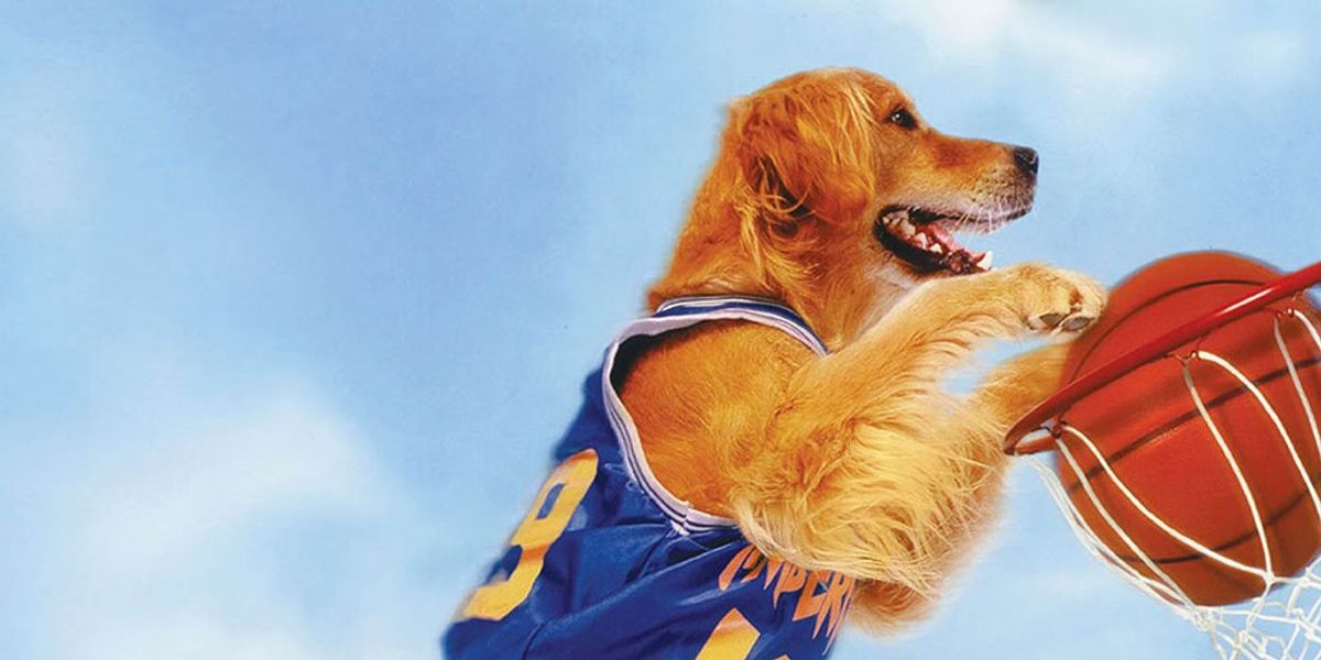 A Letter To The Academy For Years Of Denying Air Bud His Rightful Oscar Nomination