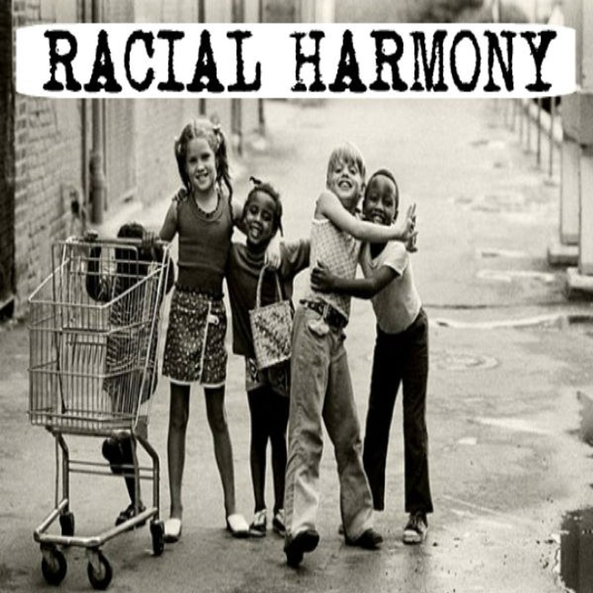 Racial Harmony