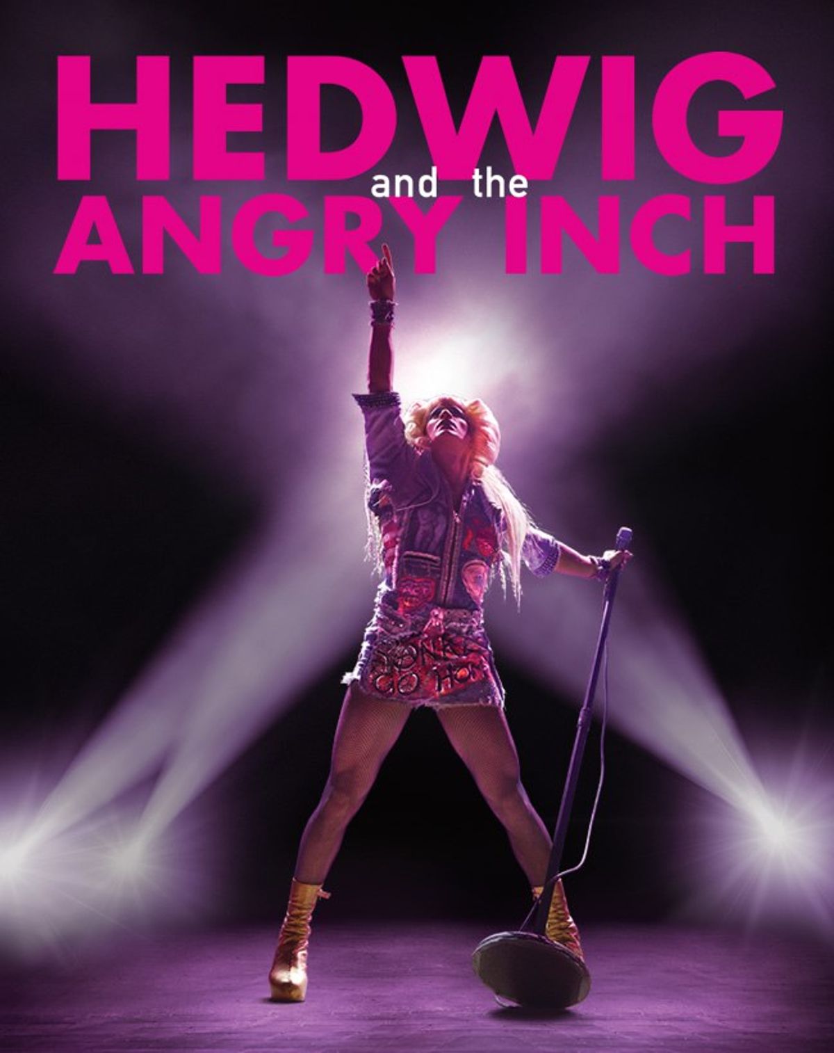 Dreams Of Hedwig And The Angry Inch
