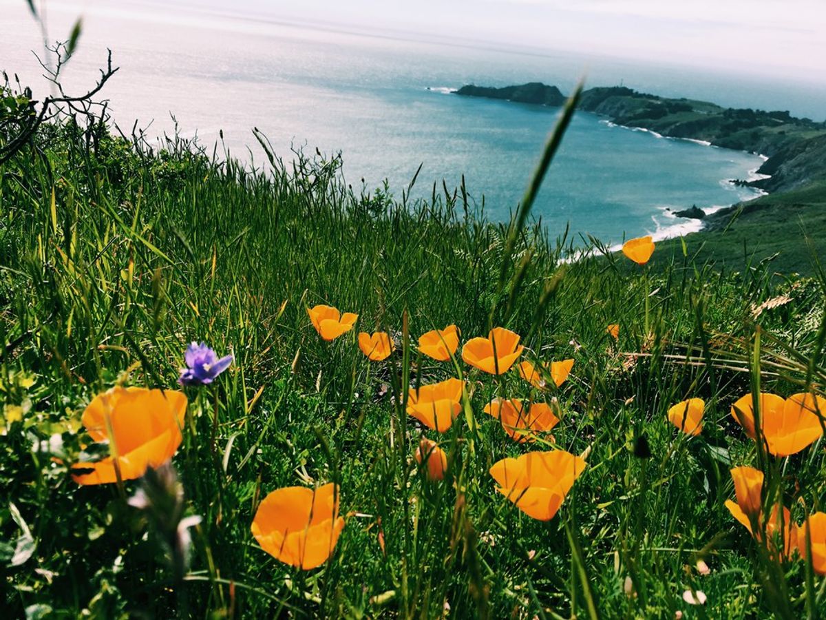 20 Signs You Grew Up In Marin County