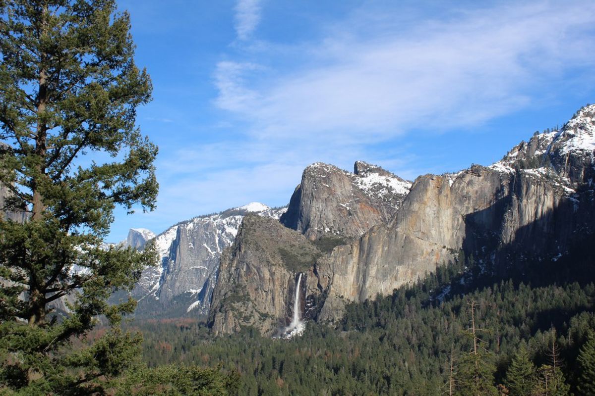 Why You Should Visit Yosemite National Park
