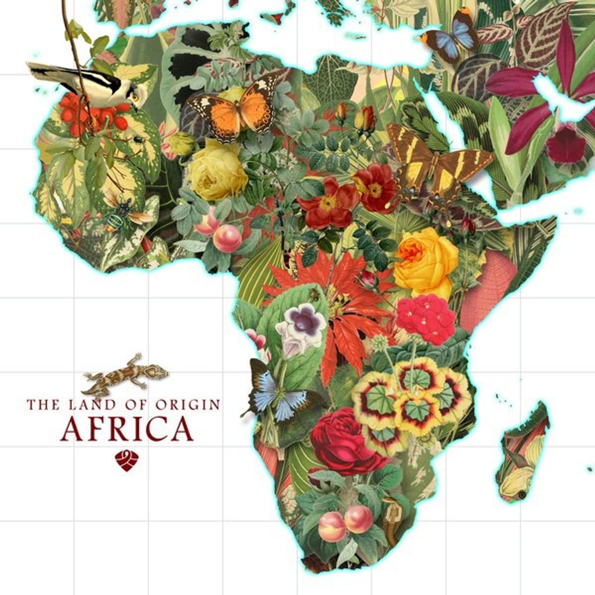The 'Africa' I Know