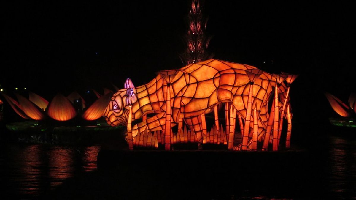 An Inside Look at Rivers Of Light At Animal Kingdom