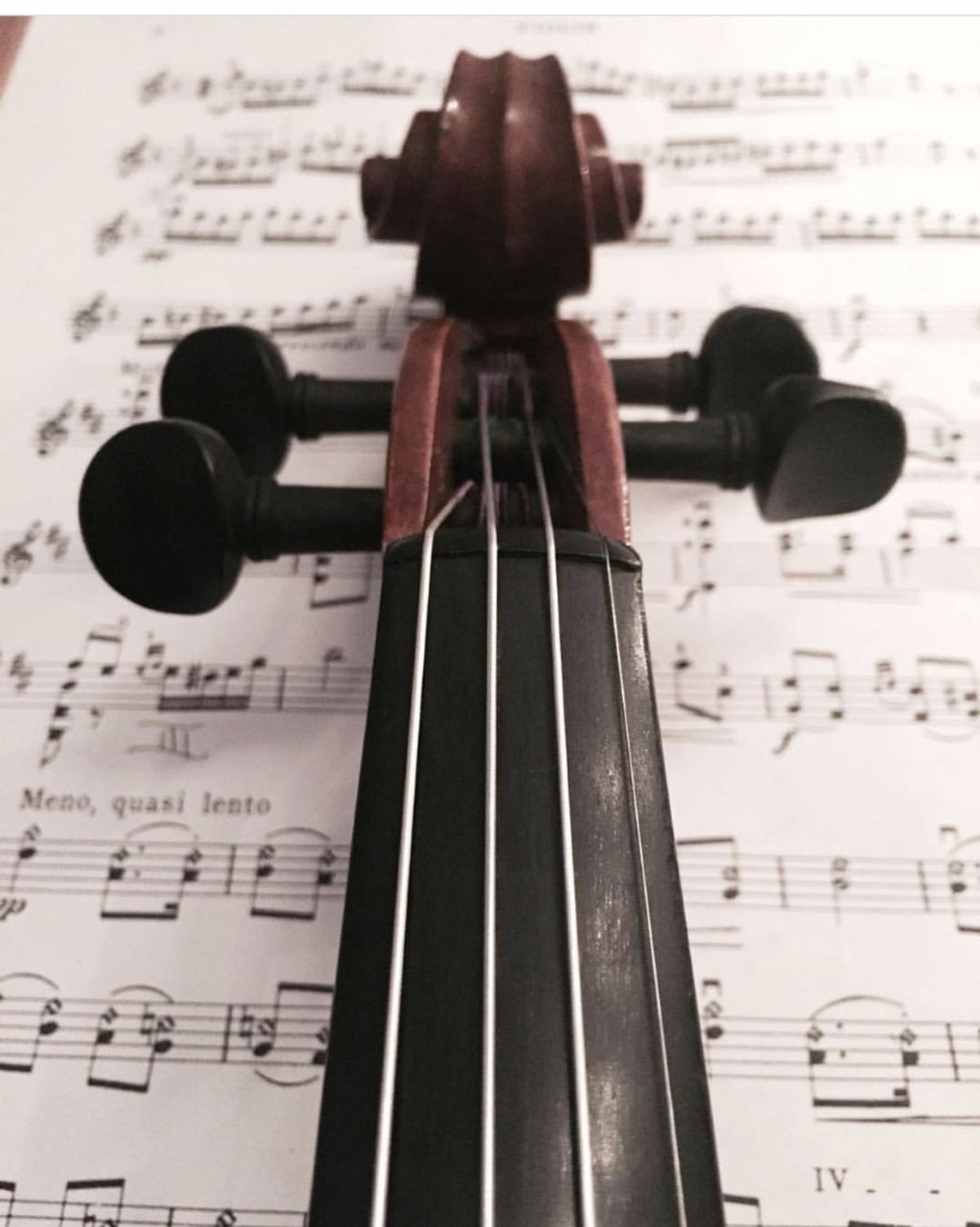 What Playing The Violin Has Taught Me