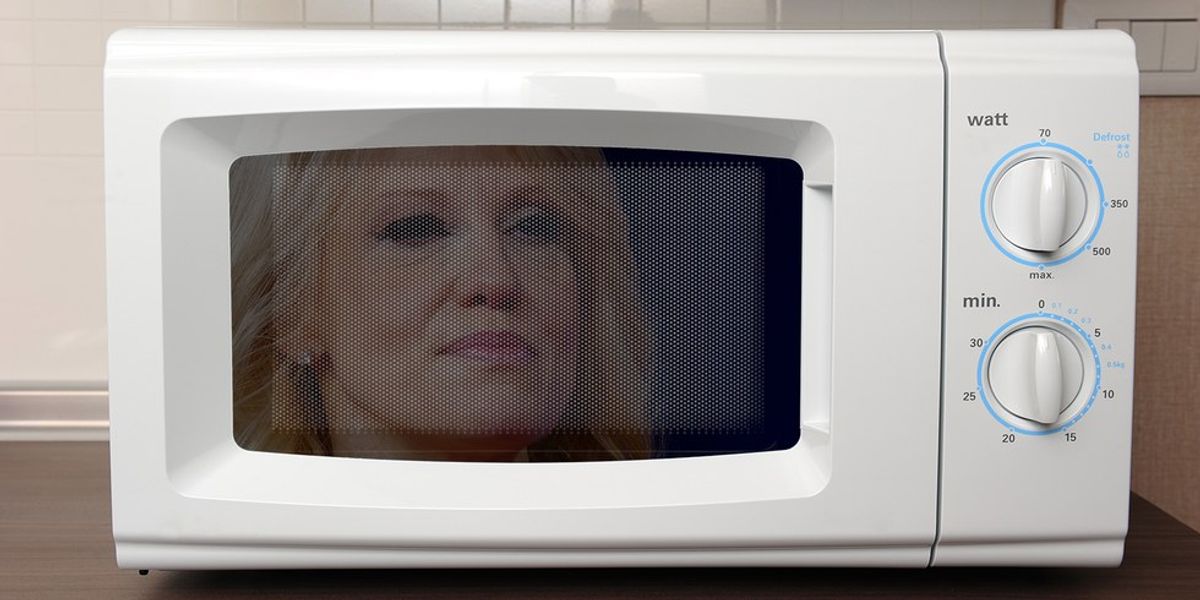 My Life Through The Eyes of My NSA Issued Microwave