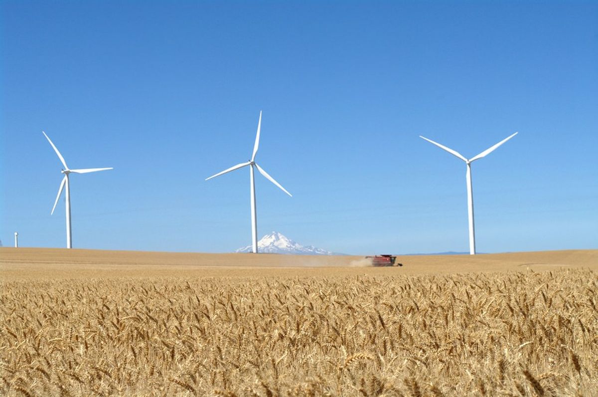 America Needs To Jump On The Renewable Resources Train