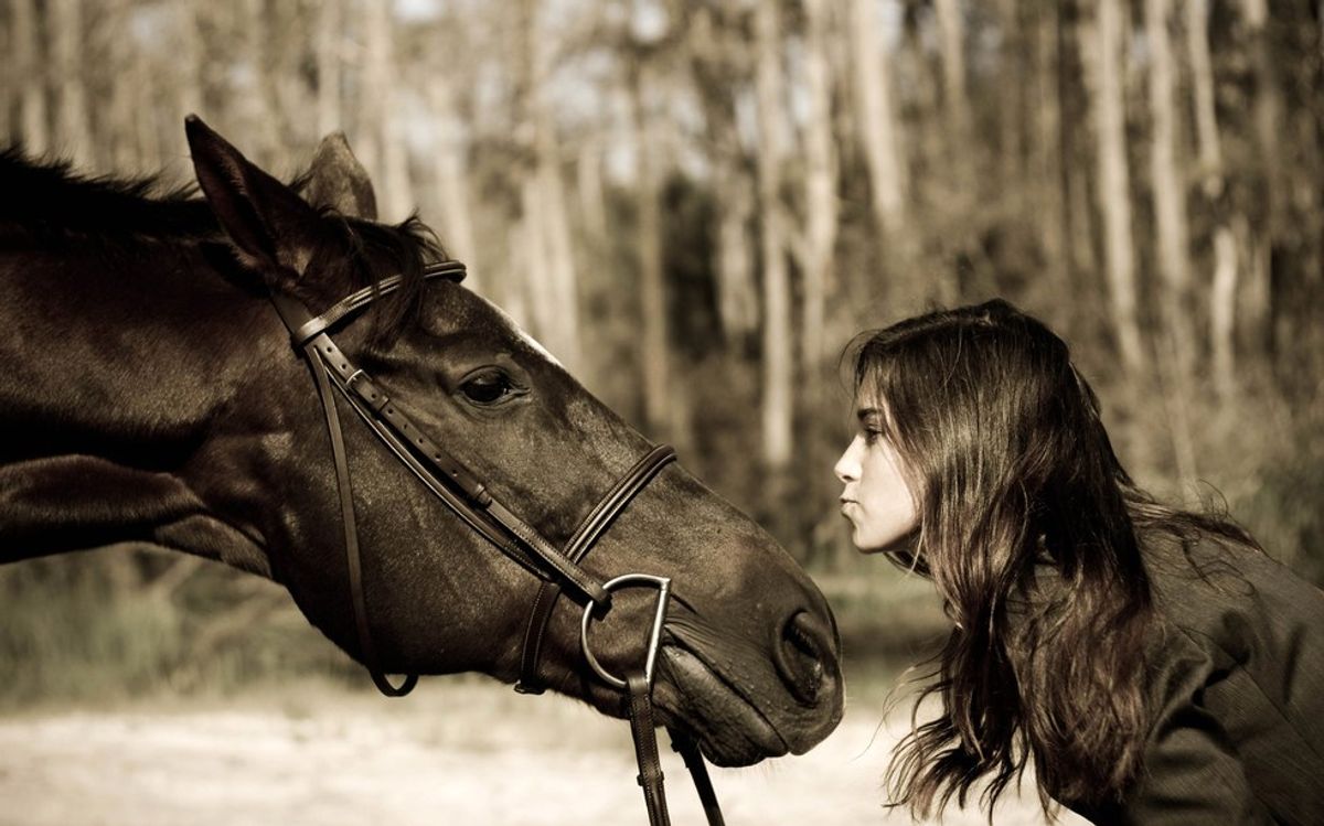 6 Reasons Why A Horse Is Better Than A Boyfriend