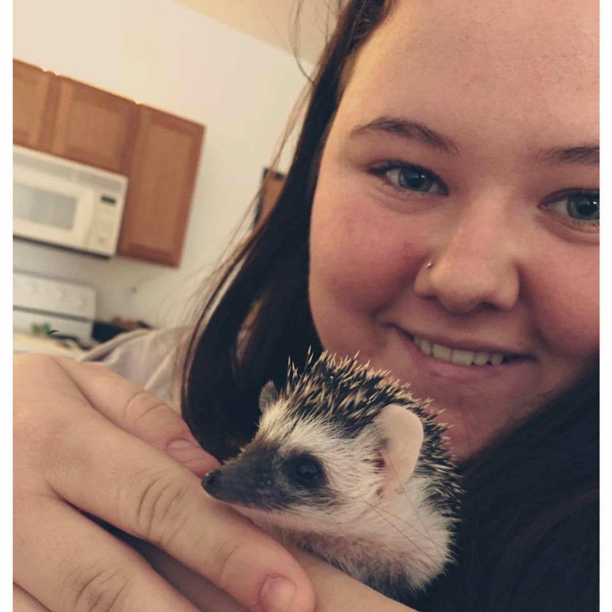 12 Things To Consider Before Adopting A Hedgehog