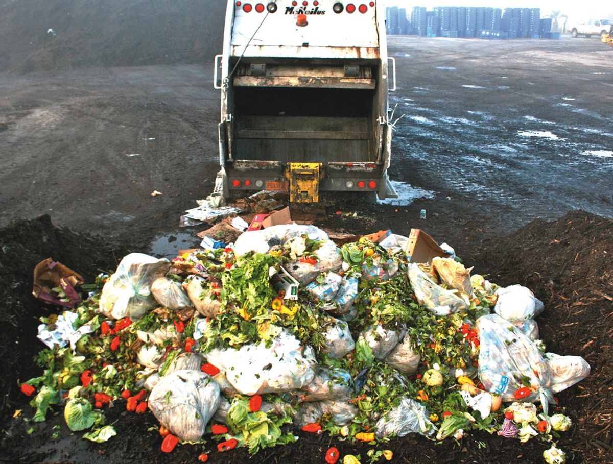 The Ins and Outs Of Food Waste