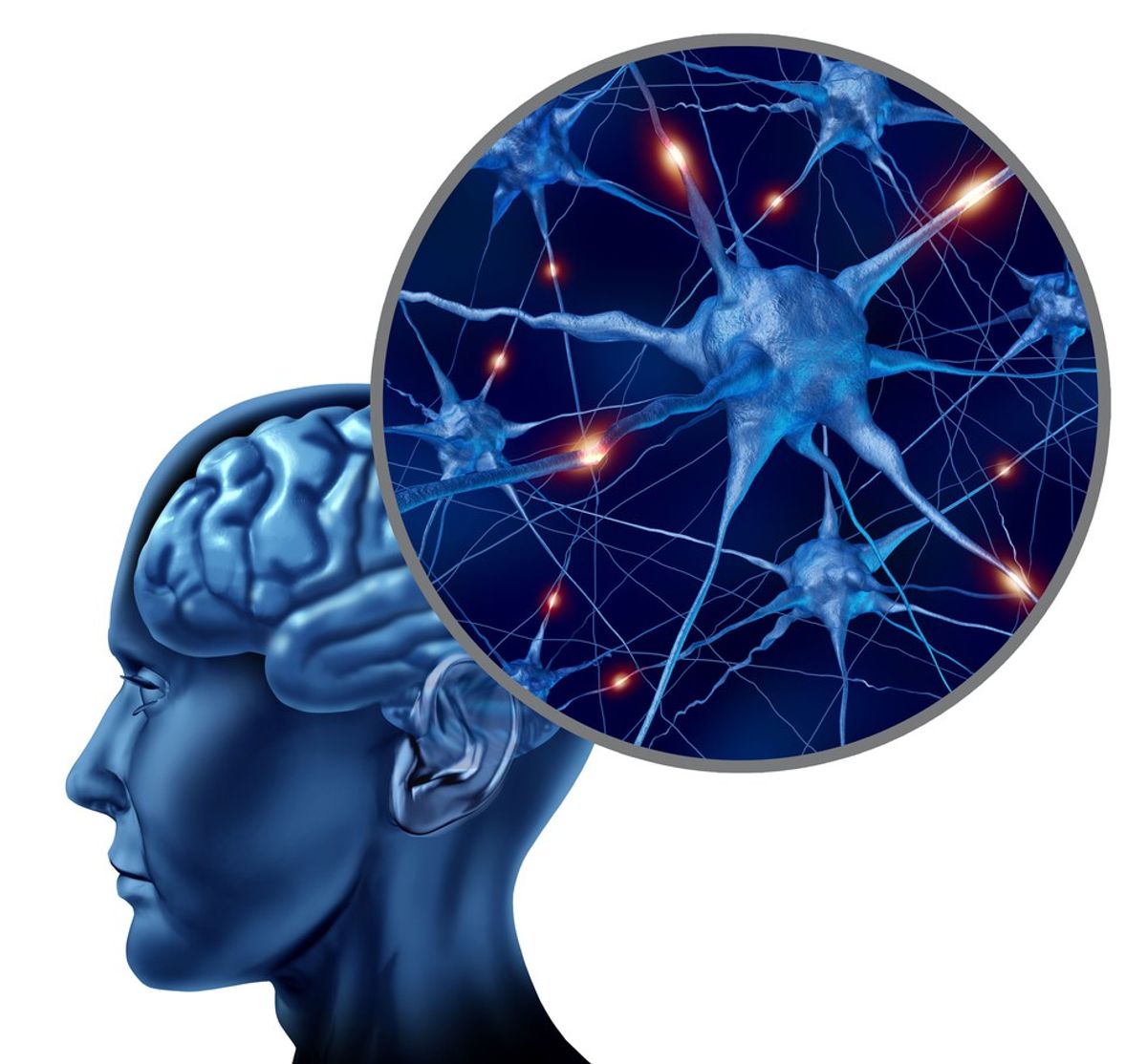The Brain And Neuroplasticity