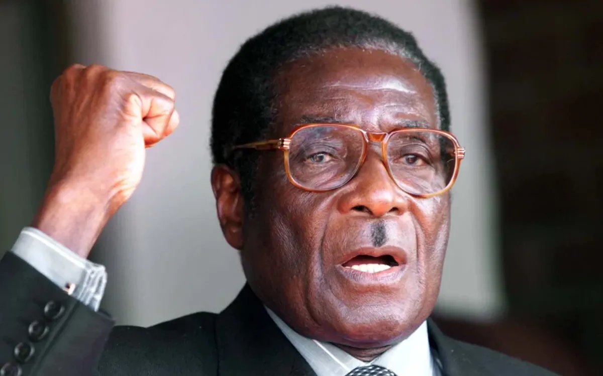 What's Happening In Zimbabwe With Mugabe