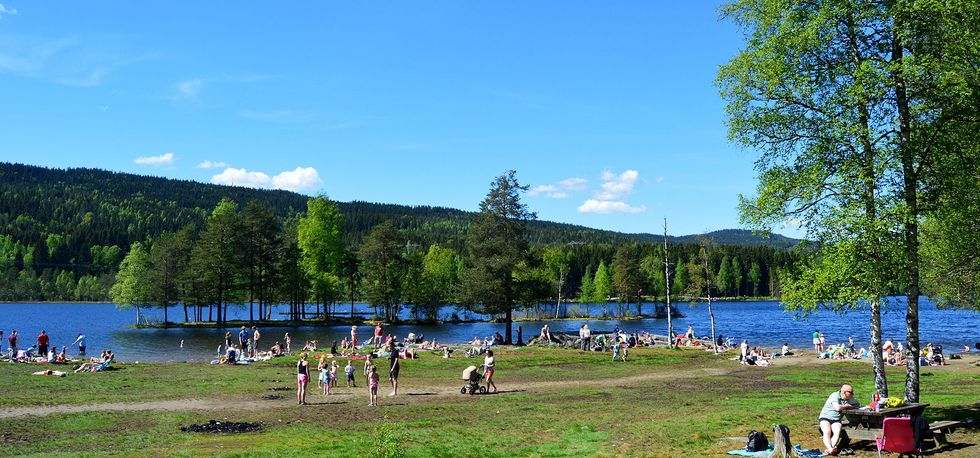 Families gather around a lake for a relaxing day