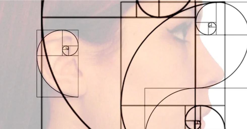 7 Fibonacci Sequence Examples in Nature | The Odyssey Online