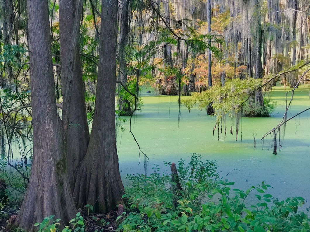 Poetry on Odyssey: Appalachian Angst